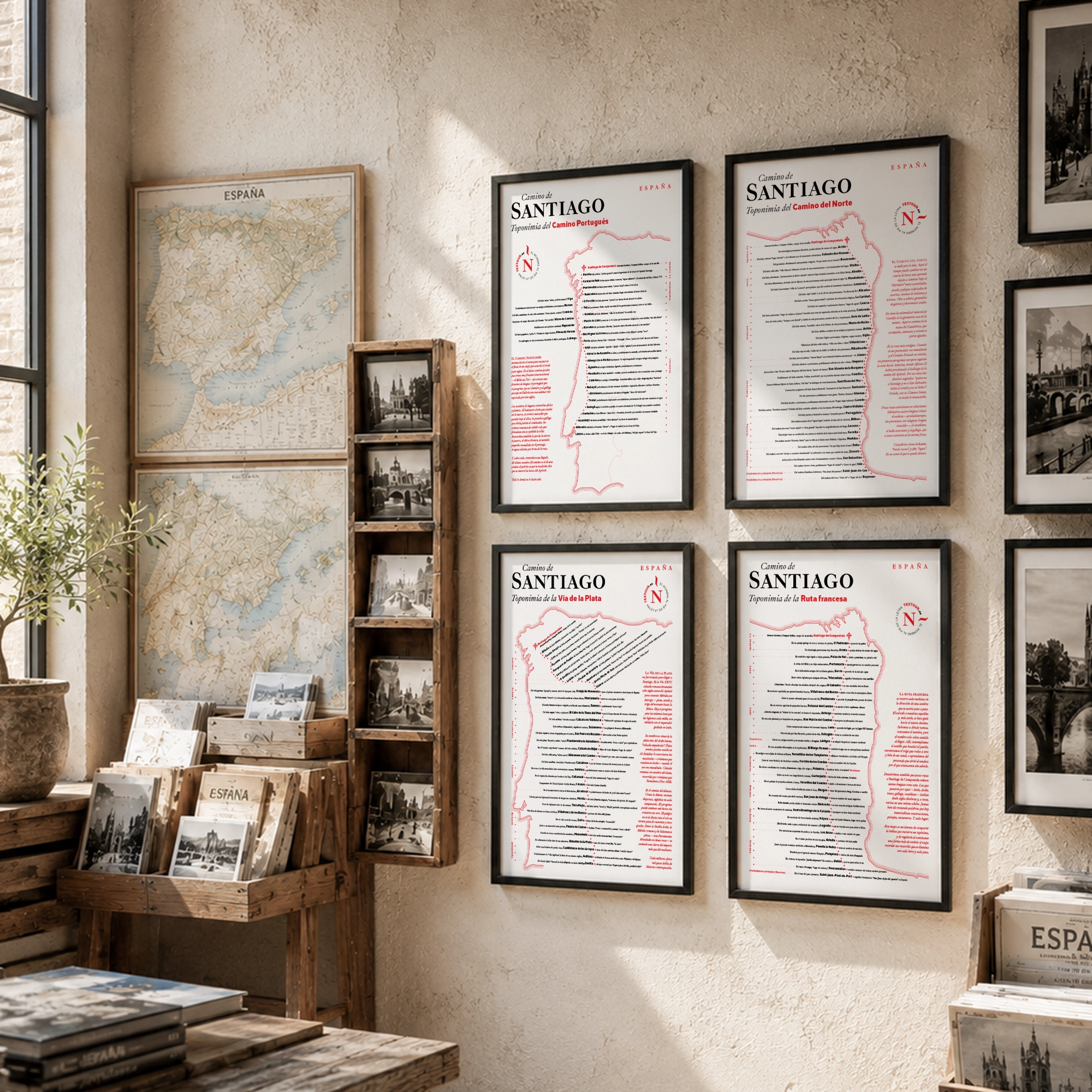 Mapa CamiNomen en el escaparate de una librería