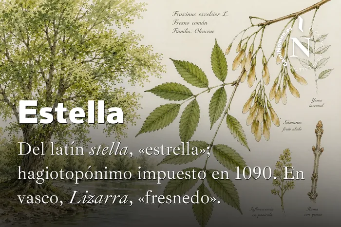 Estella, imagen para redes con su etimología.