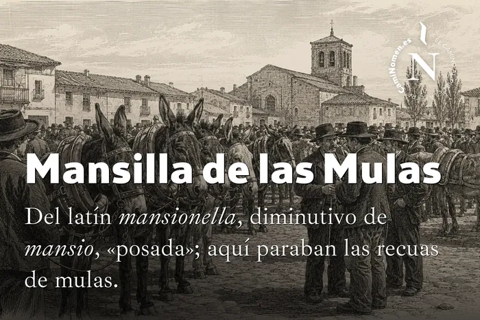 Mansilla de las Mulas, imagen para redes con su etimología.