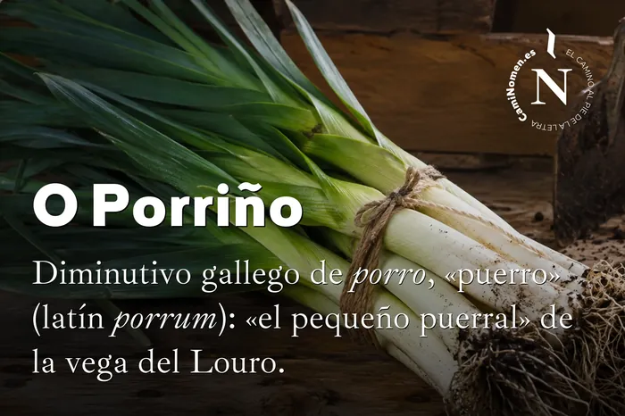 O Porriño, imagen para redes con su etimología.
